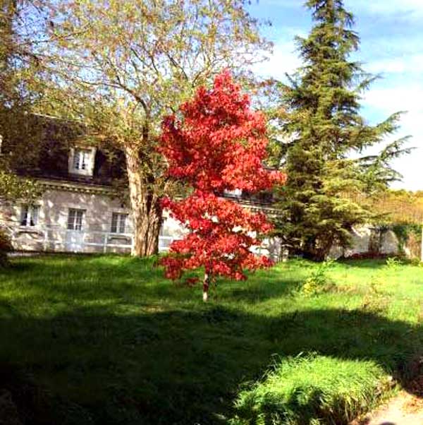 Cottage 80m2 avec piscine dans domaine de Loire